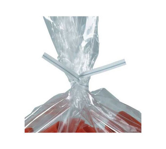 PLT6W Image.