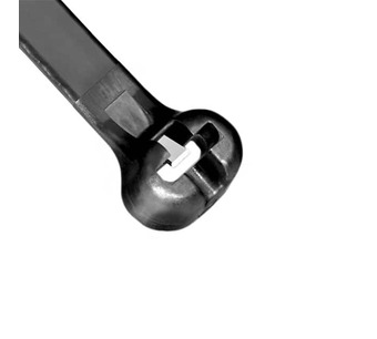 BT2I-C0 Image.