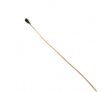 B57540G0104F000 Image.