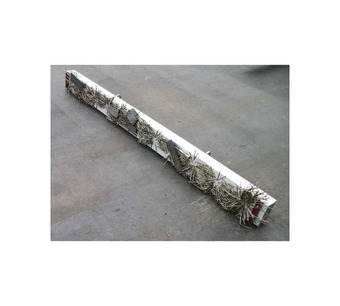 RDS-48 Image.