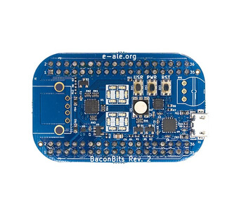 Baconbits-R2 Image.