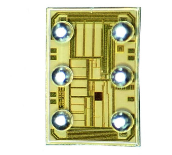 EPC137-CSP6-D Image.