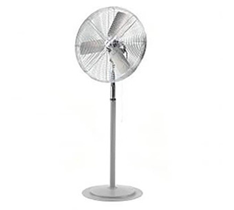 294447 Image.