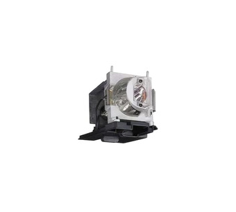 WW-QV0V-9 Image.