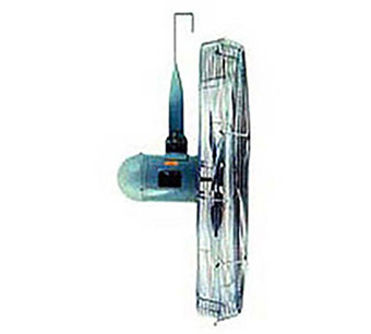 292441 Image.