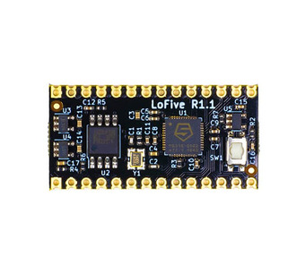 LOFIVE-R1 Image.