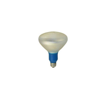 WW-5K55-2 Image.