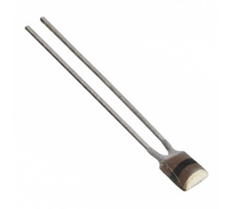 NTCLE100E3101JB0 Image.