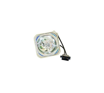 WW-AVAX-8 Image.