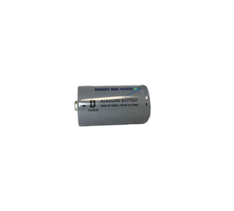 D ALKALINE 2S Image.