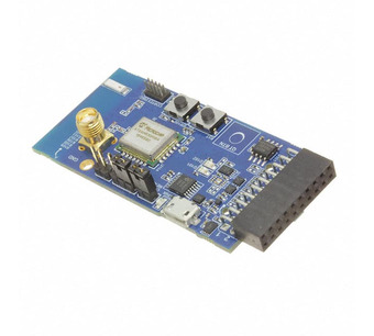 AC164159 Image.