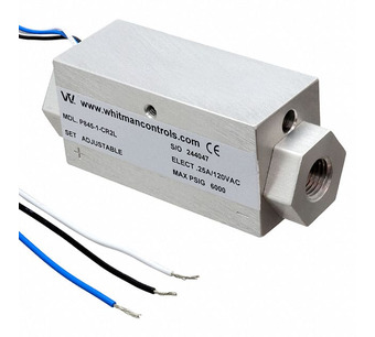 P845-1-CR2L Image.