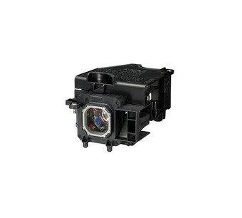 WW-DGGW-3 Image.