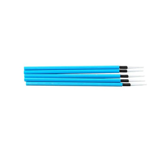 2.5 SWAB Image.