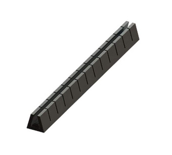 SNGSG-3B Image.