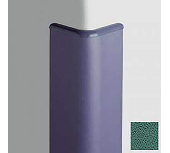 CG-30-4-300 Image.