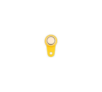 UTAH-P-Yellow Image.