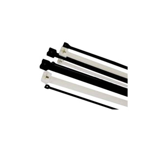 CTSB-SAMPLE Image.