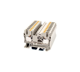 DP6 Image.