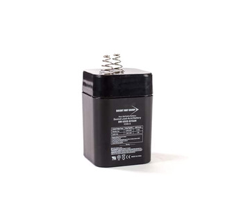 BW 650S LANTERN Image.