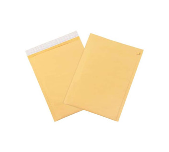B857SSTT25PK Image.