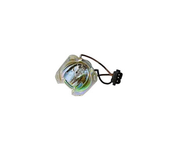 WW-EWDG-4 Image.