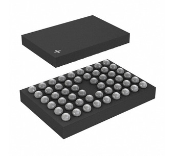P9221-RAHGI Image.