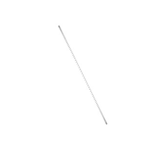 R-10CS Image.