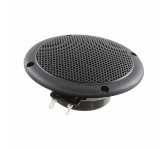 FR 10 WP - 4 OHM (BLACK) Image.