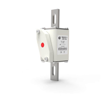 RSZ307-1-T5Z-500A1000V Image.