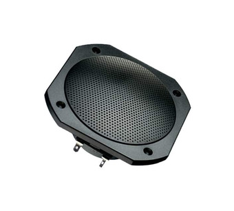 FRS 10 WP - 8 OHM (BLACK) Image.