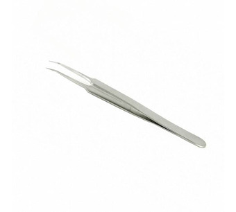 5B.SA.6.ITE Image.