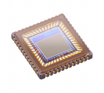 MT9M001C12STM-DP Image.