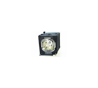 WW-L1S2-2 Image.