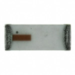 2450AT42A100E Image.