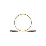EXT-100-25M-ST-ST
