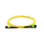 MT-MM9EYP005MDG