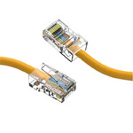 CM-100105YWBSTK