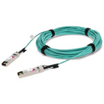 FCBG110SD1C20-C