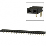 PPPC251LGBN