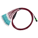 C51G-8164-10M
