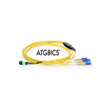 BOC-8MPOF-4LCOS2-1M