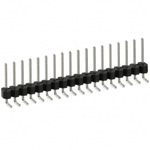 PEC18SGAN