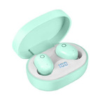 DT-8 GRN