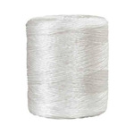 TWT350