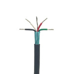 GSPC-4C100