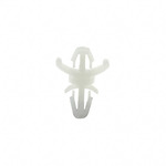 CBDLS605A