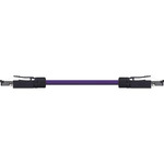 CAT5 PVC-060FT