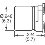 EMVH100ADA101MF80G Image.