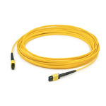 C-MPOMPO-7M9SM